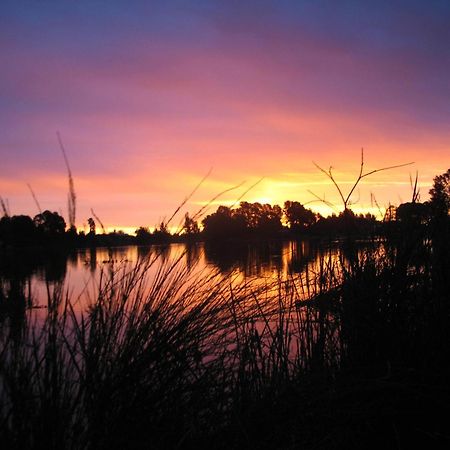 Beechworth Lake Sambell Caravan Park Exteriör bild