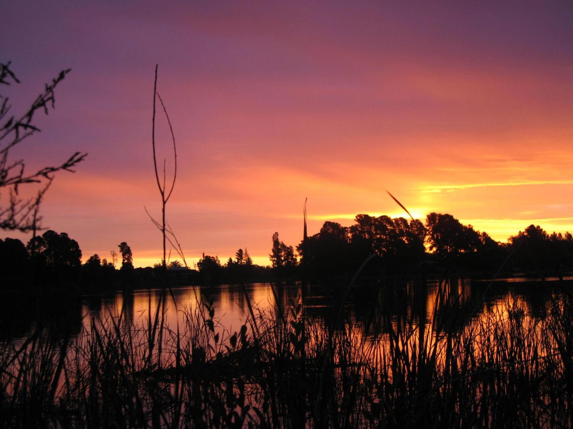 Beechworth Lake Sambell Caravan Park Exteriör bild