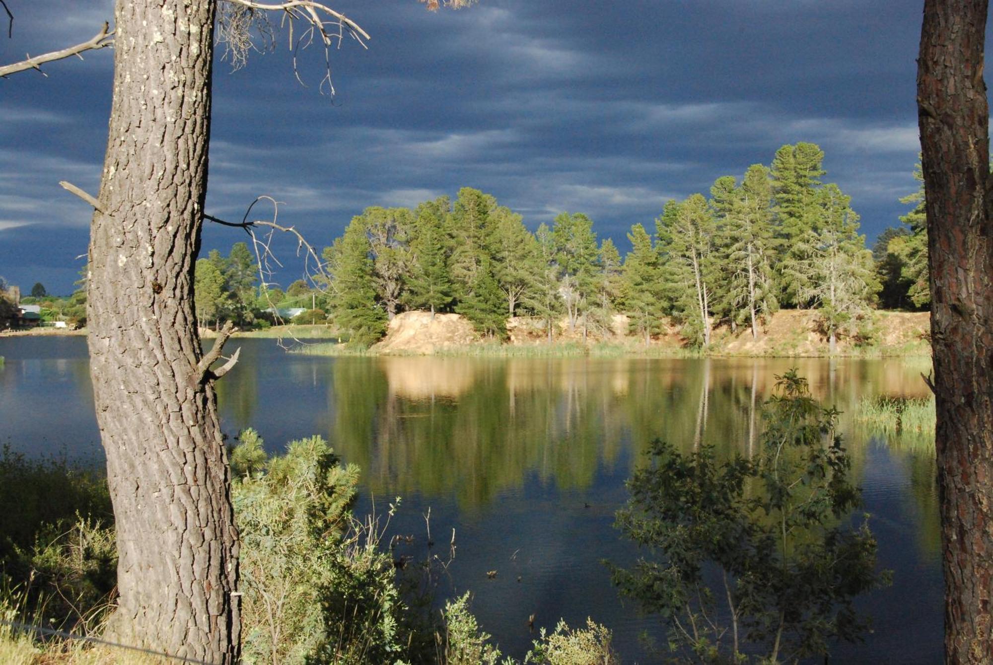 Beechworth Lake Sambell Caravan Park Exteriör bild