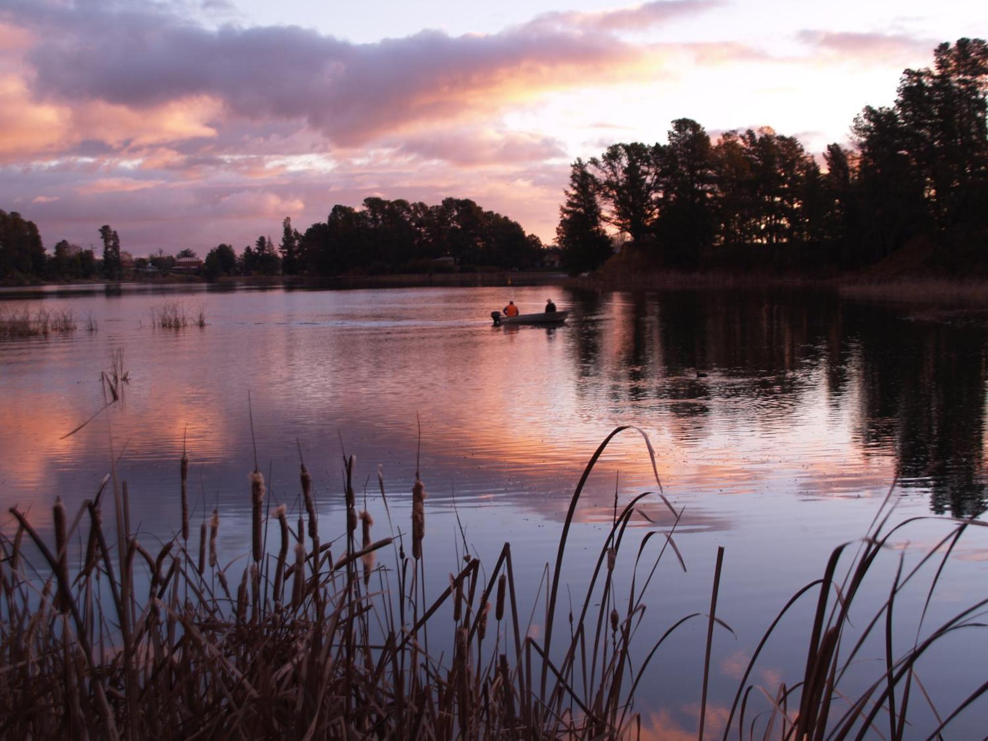 Beechworth Lake Sambell Caravan Park Exteriör bild